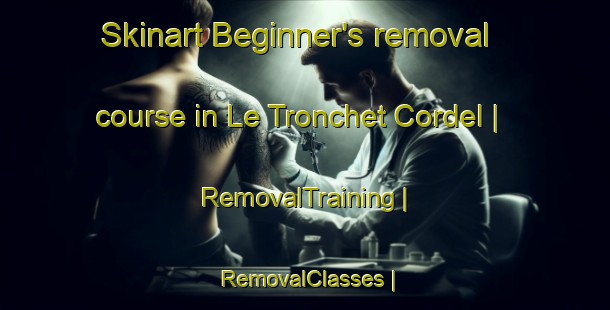 Skinart Beginner's removal course in Le Tronchet Cordel | RemovalTraining | RemovalClasses | SkinartTraining-France